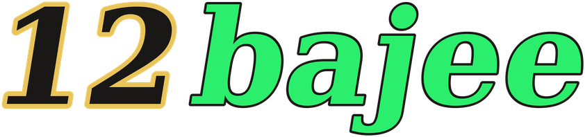 12bajee logo